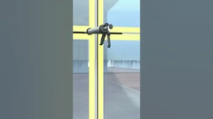 रक्षक दीवार